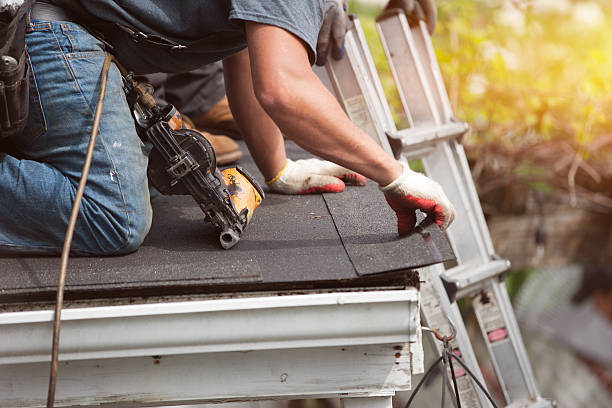 Best Roof Gutter Cleaning  in Monticello, WI